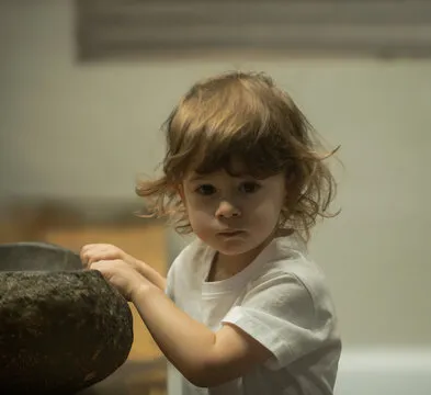 法甲直播体育 APP